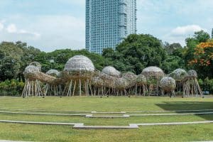 Mebuyan's Colony at ADMU